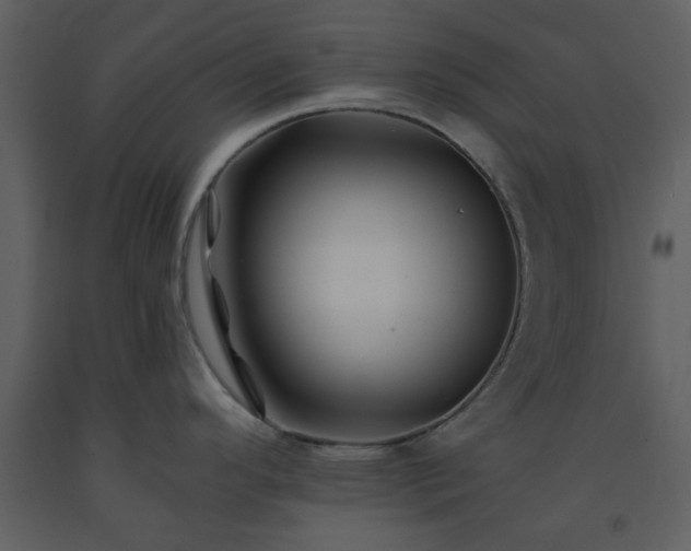 X0000093581296200710221456