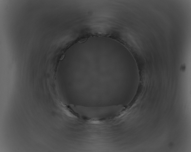 X0000093581297200710221455
