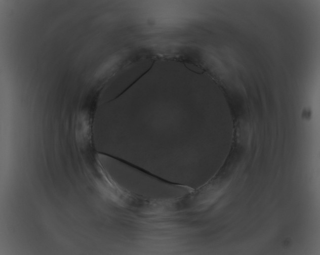 X0000093581298200710221455