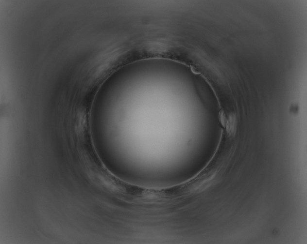 X0000093581299200710221455