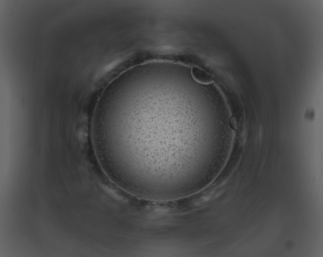 X0000093581301200710221455