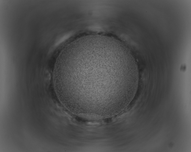 X0000093581302200710221455