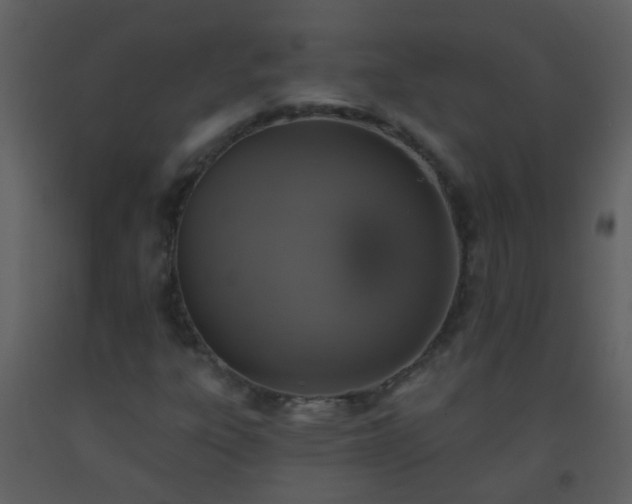 X0000093581303200710221455