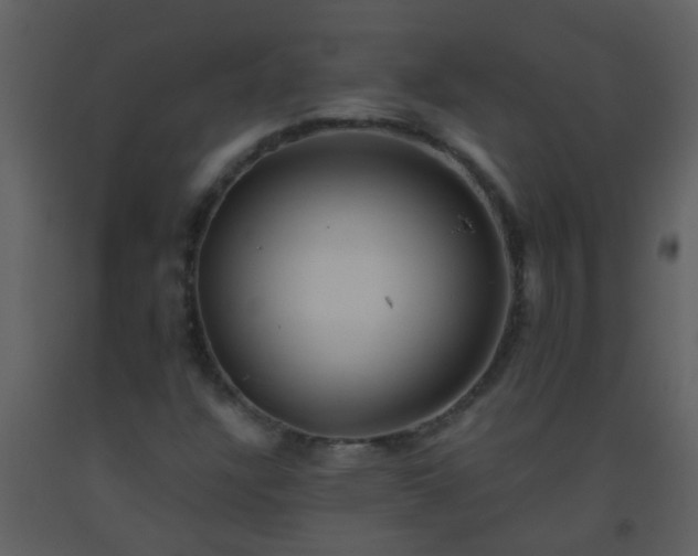 X0000093581304200710221455