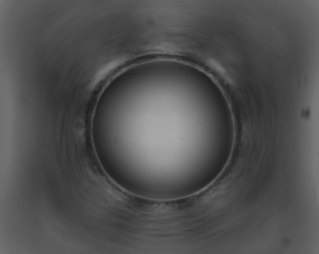 X0000093581307200710221455