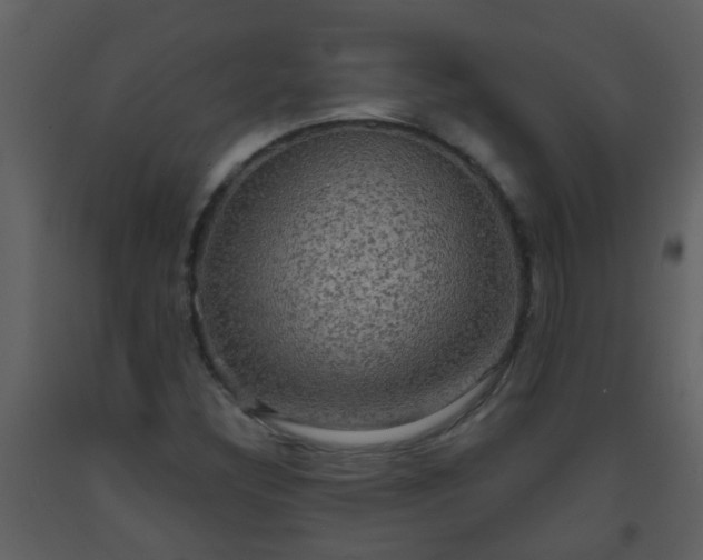 X0000093581308200710221455
