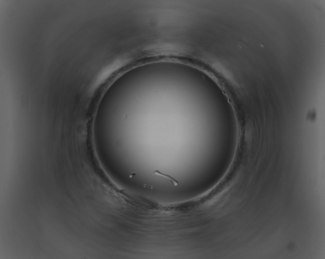 X0000093581309200710221455