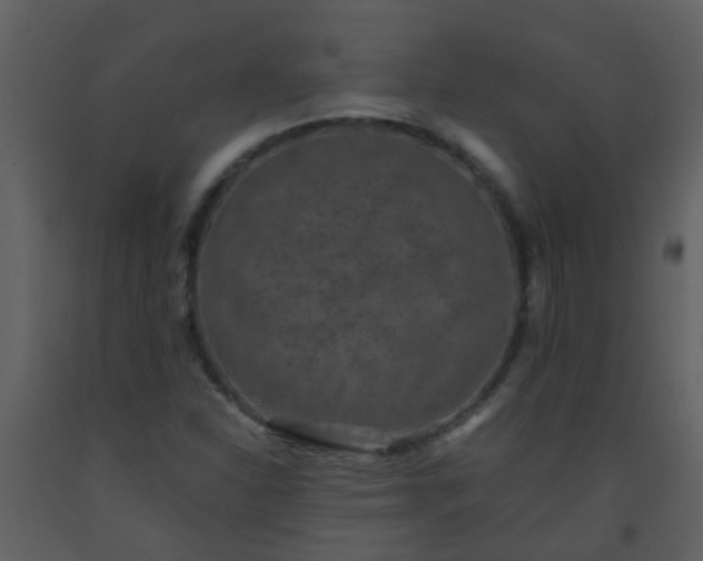 X0000093581310200710221455