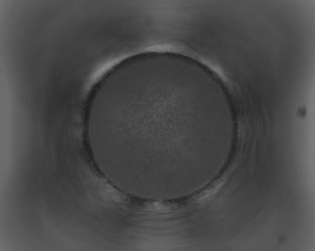 X0000093581311200710221455