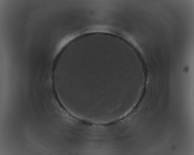 X0000093581312200710221455