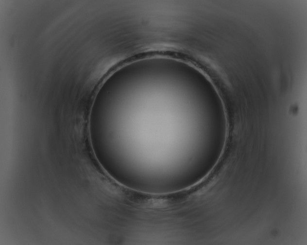 X0000093581313200710221455