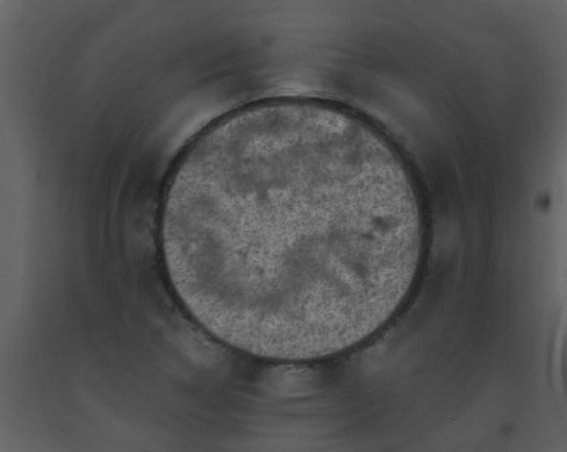 X0000093581314200710221455