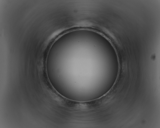 X0000093581315200710221455