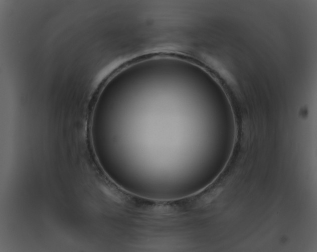 X0000093581316200710221455