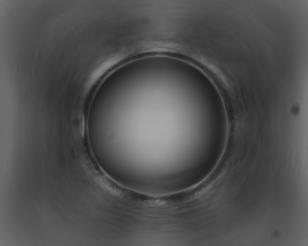 X0000093581317200710221455