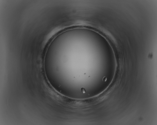 X0000093581318200710221455