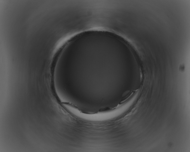 X0000093581319200710221455