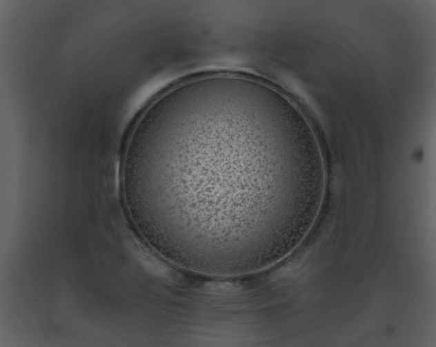 X0000093581320200710221455