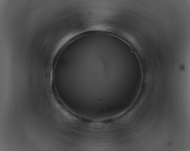 X0000093581323200710221455