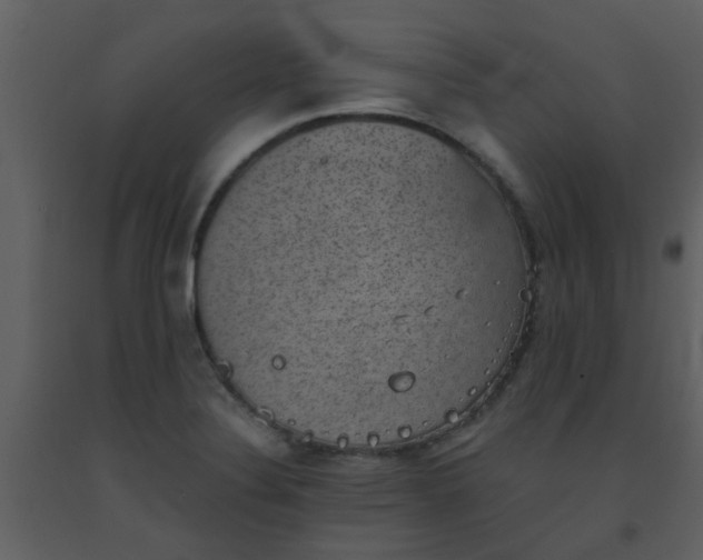 X0000093581324200710221456