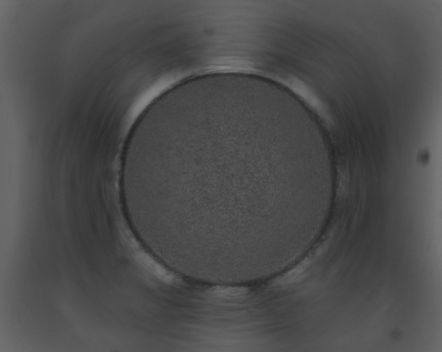 X0000093581325200710221456
