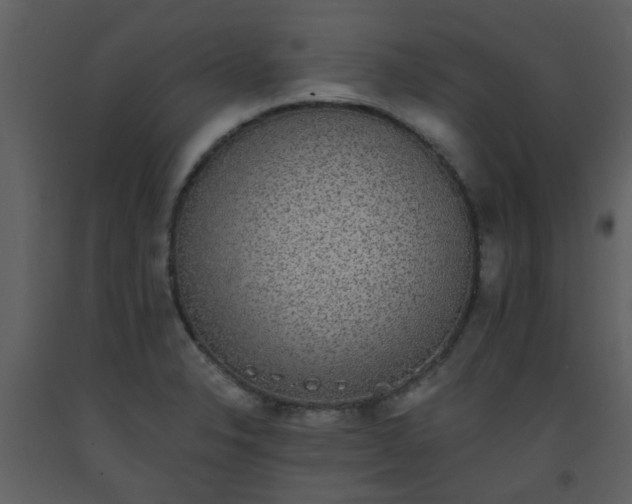 X0000093581326200710221456