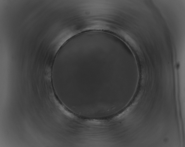 X0000093581329200710221456