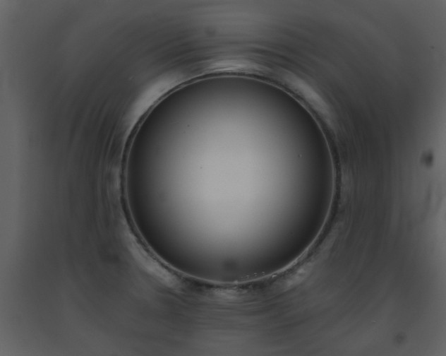 X0000093581330200710221456