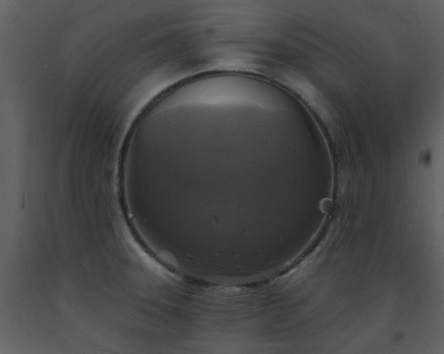 X0000093581331200710221456