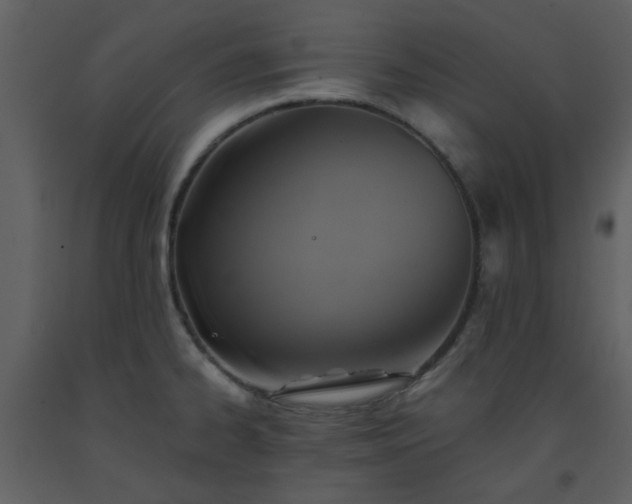 X0000093581334200710221456