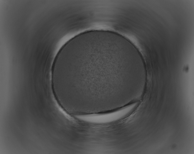 X0000093581335200710221456