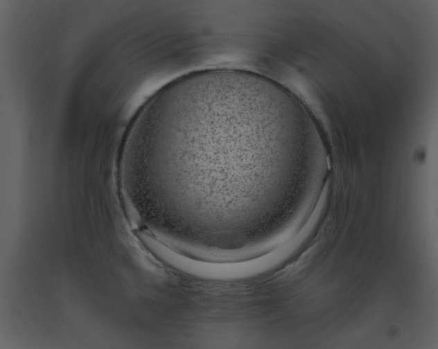 X0000093581336200710221456