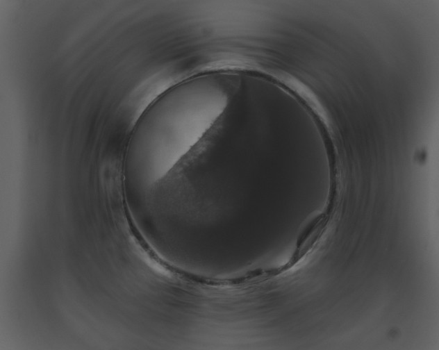 X0000093581337200710221456