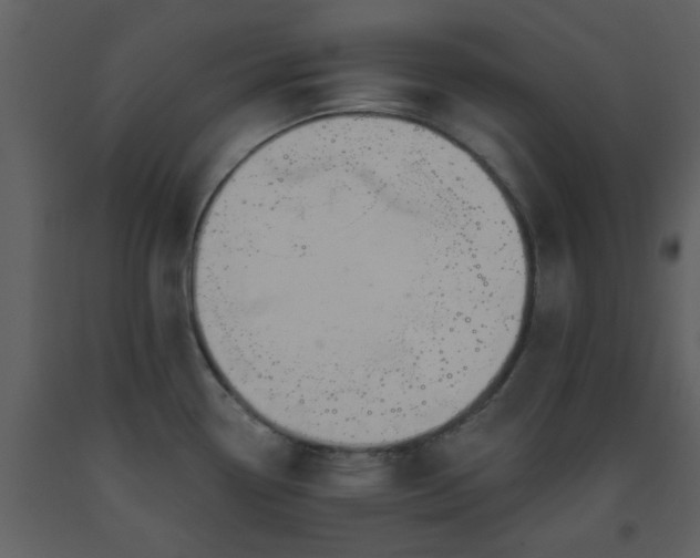 X0000093581338200710221456