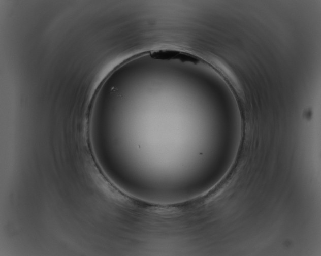 X0000093581340200710221456