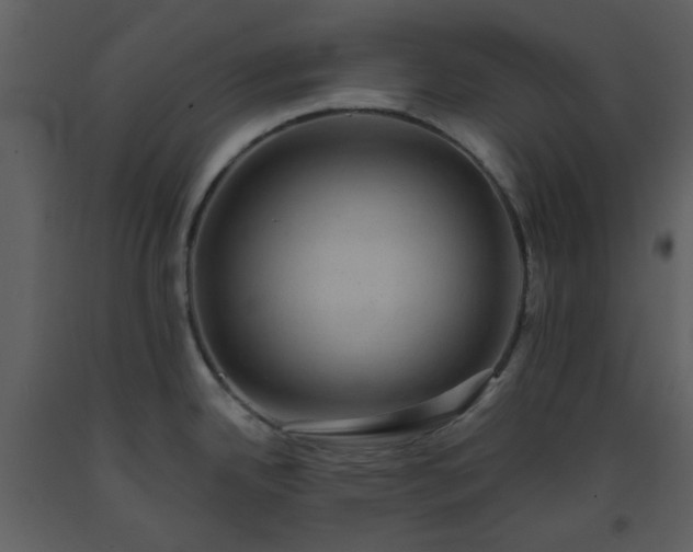 X0000093581342200710221456
