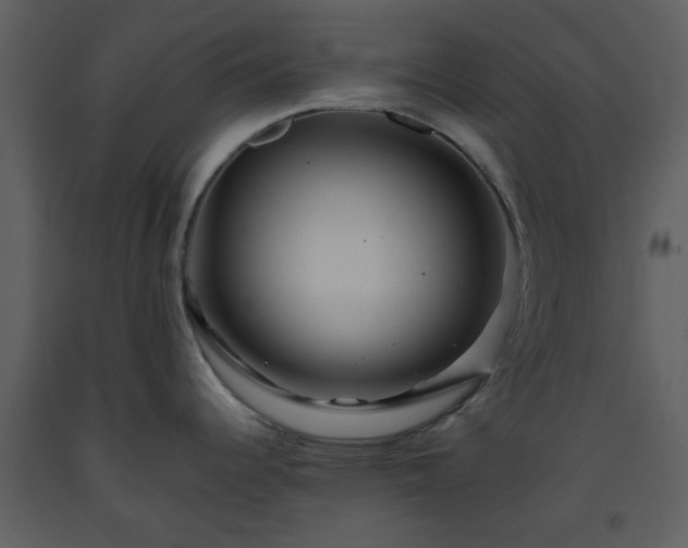 X0000093581344200710221456
