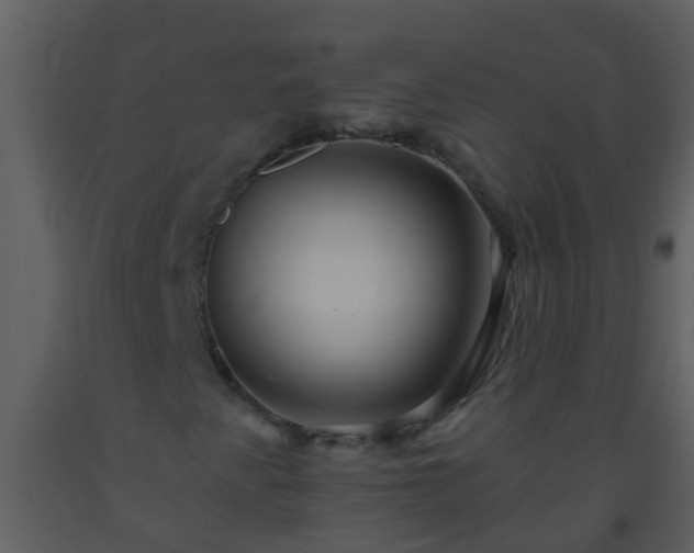 X0000093581345200710221455
