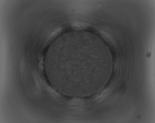 X0000093581346200710221455