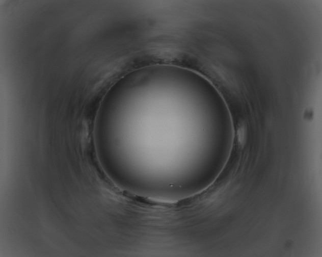 X0000093581347200710221455