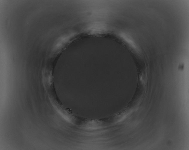 X0000093581348200710221455