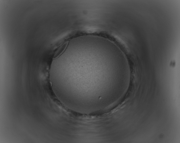 X0000093581349200710221455