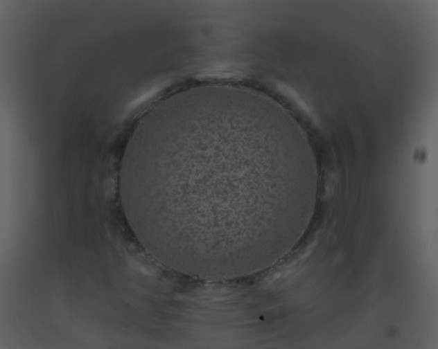 X0000093581350200710221455