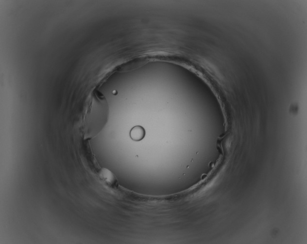 X0000093581353200710221455