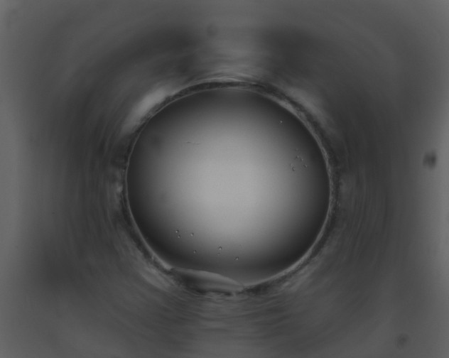 X0000093581355200710221455