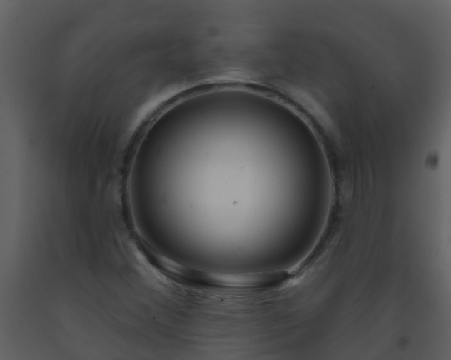 X0000093581356200710221455