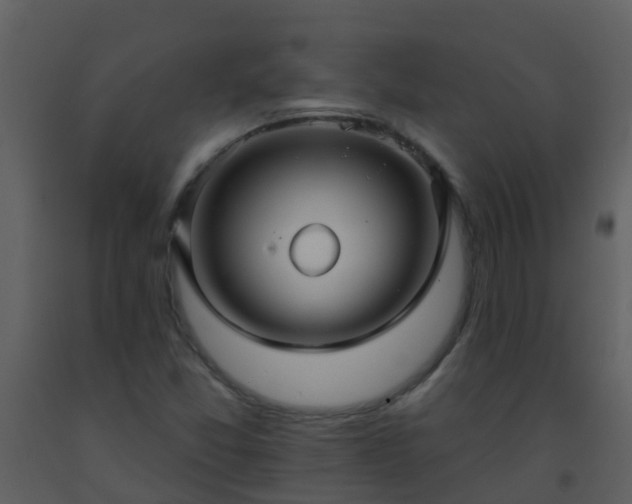 X0000093581357200710221455