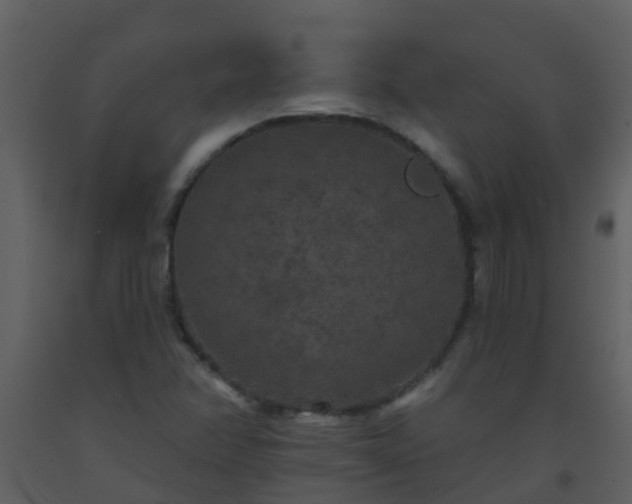 X0000093581358200710221455