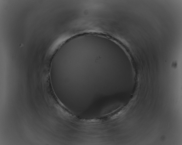X0000093581359200710221455