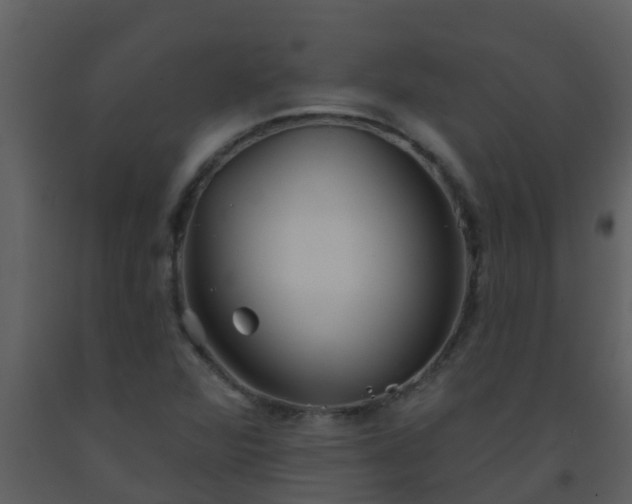 X0000093581360200710221455